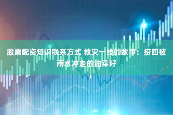 股票配资知识联系方式 救灾一线的故事：捞回被雨水冲走的油菜籽