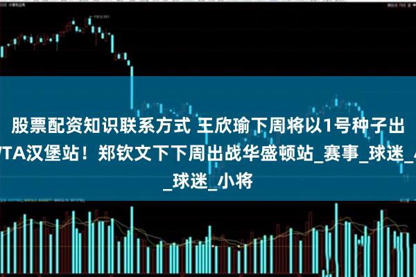 股票配资知识联系方式 王欣瑜下周将以1号种子出战WTA汉堡站！郑钦文下下周出战华盛顿站_赛事_球迷_小将