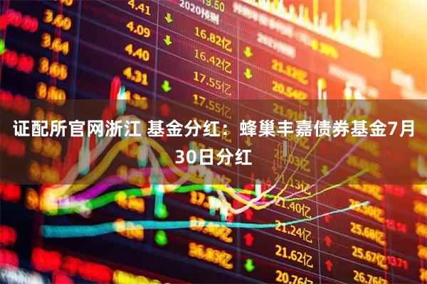 证配所官网浙江 基金分红：蜂巢丰嘉债券基金7月30日分红
