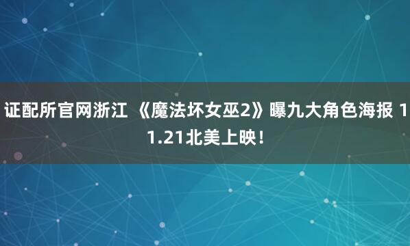 证配所官网浙江 《魔法坏女巫2》曝九大角色海报 11.21北美上映！